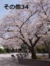 東京都中央区勝どき１丁目 その他