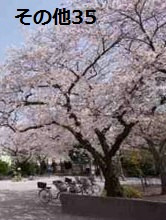 東京都中央区勝どき１丁目 その他