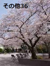 東京都中央区勝どき１丁目 その他