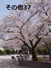 東京都中央区勝どき１丁目 その他