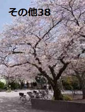 東京都中央区勝どき１丁目 その他