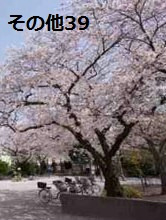 東京都中央区勝どき１丁目 その他