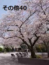 東京都中央区勝どき１丁目 その他