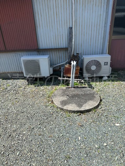 浜松市中央区初生町 その他