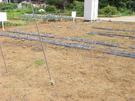 稲敷郡阿見町大字上長　土地 現地写真（その他）