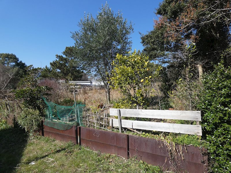 湖西市新居町新居 その他