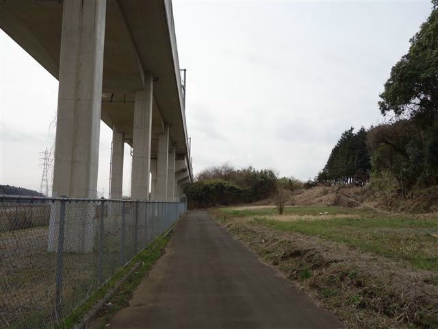つくば市島名　土地  現地写真（前面道路含む現地写真）