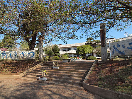 つくば市島名　土地  小学校