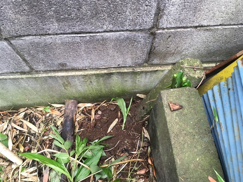 つくば市島名　土地 その他