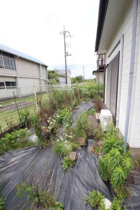 佐倉戸建て その他