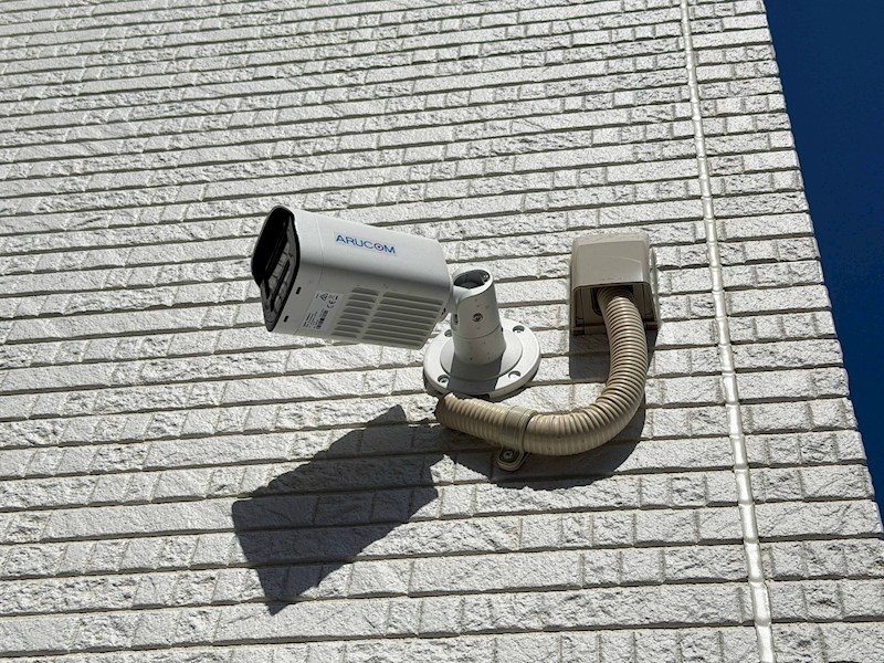 ピレーネ焼野 その他