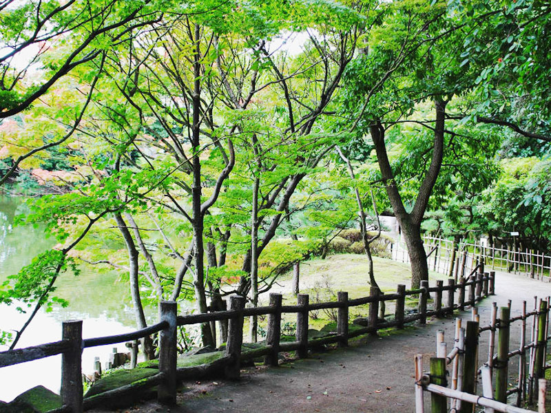 【CASA】 カルム伊丹緑ヶ丘 公園