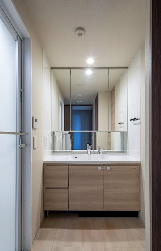 ワコーレ芦屋パークビスタ 内観写真（洗面台・洗面所）