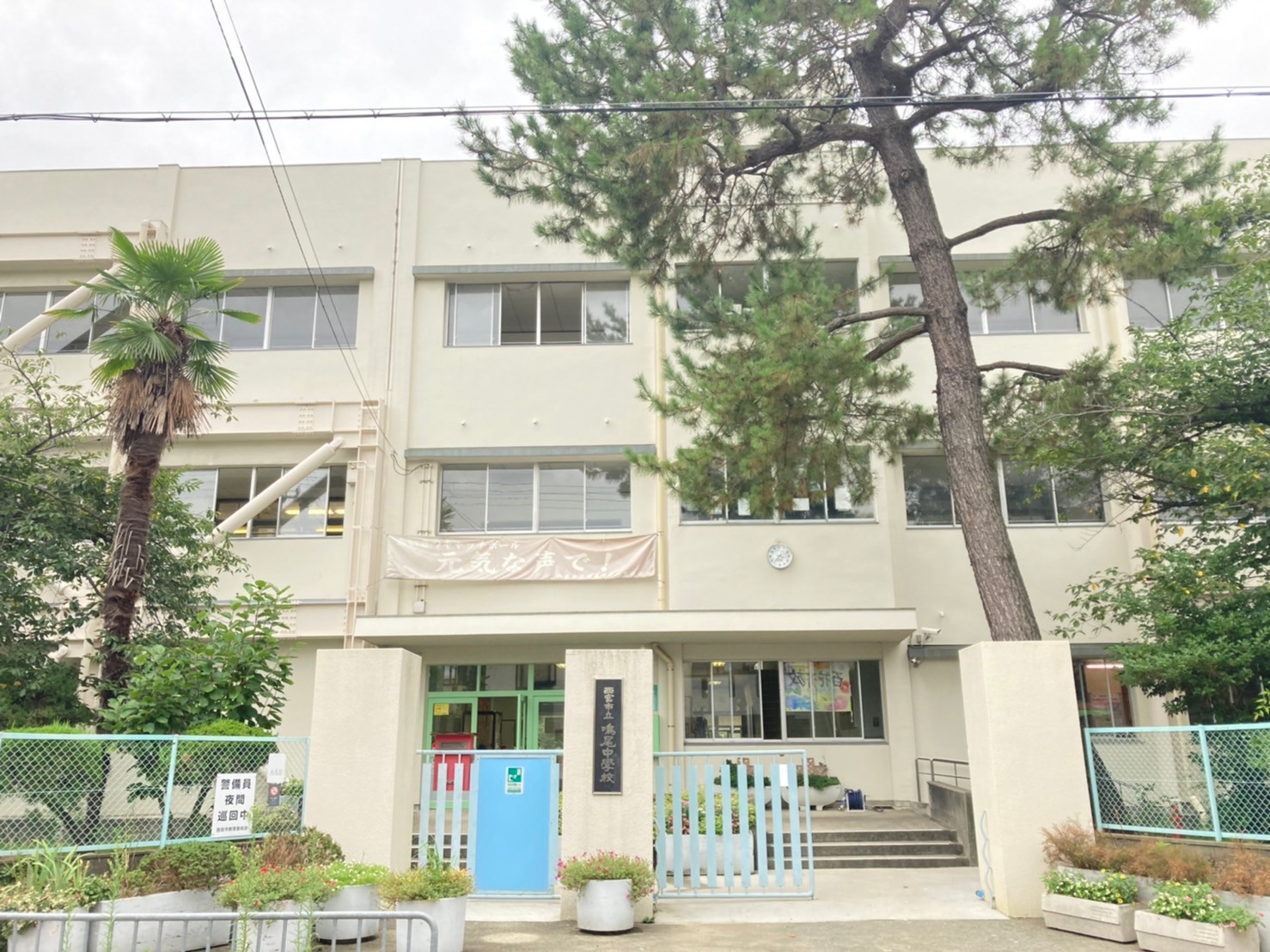 ネオ甲子園 中学校