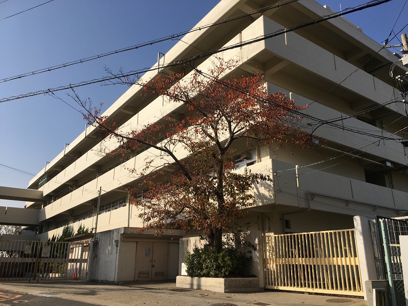 青葉丘マンション 小学校