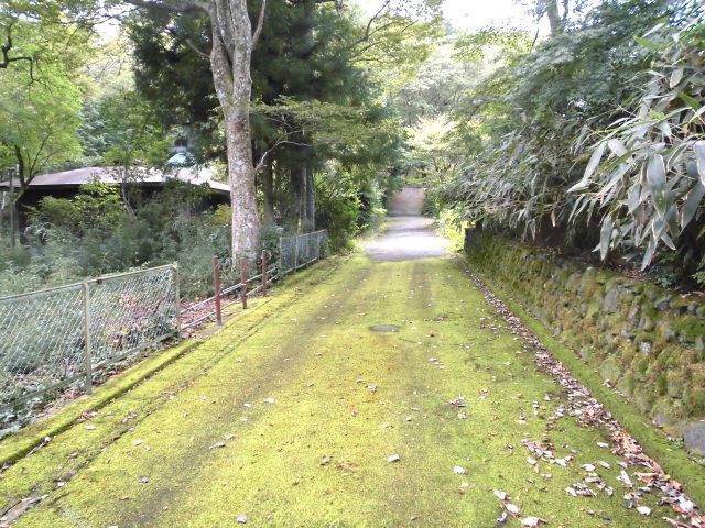 足柄下郡箱根町仙石原土地 現地写真