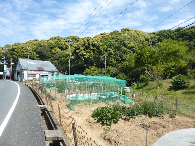 豊北町大字阿川 現地写真