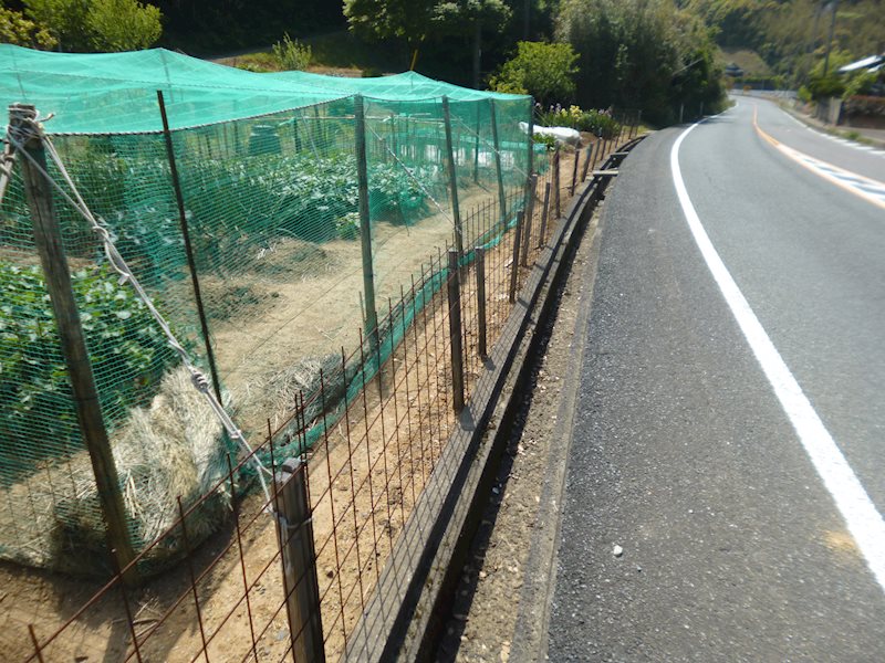豊北町大字阿川 現地写真（前面道路含む現地写真）