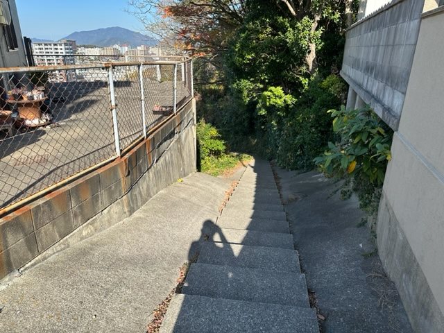 幡生本町 現地写真（前面道路含む現地写真）