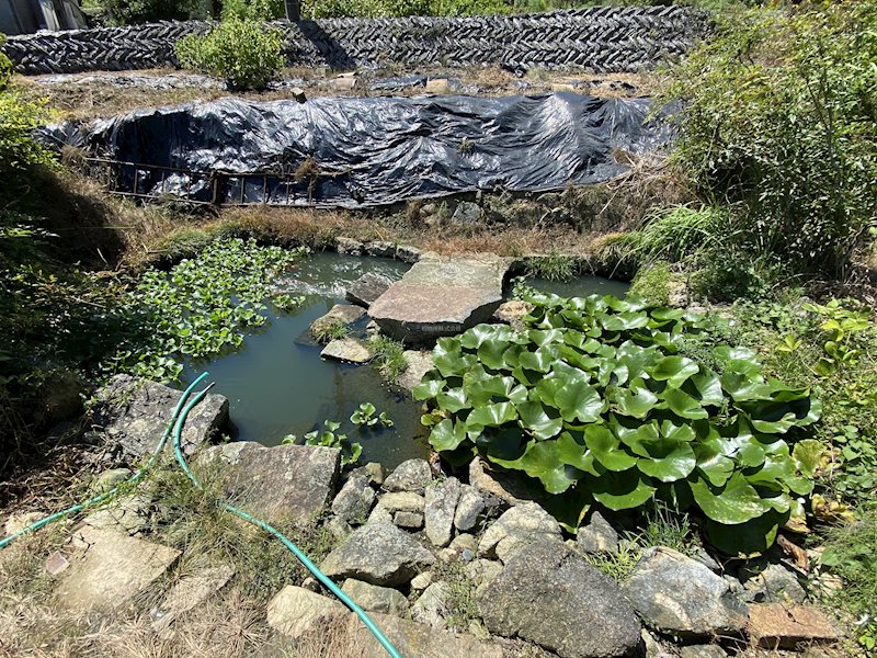 大字吉田地方  現地写真（庭）