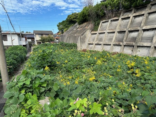 武久町 現地写真
