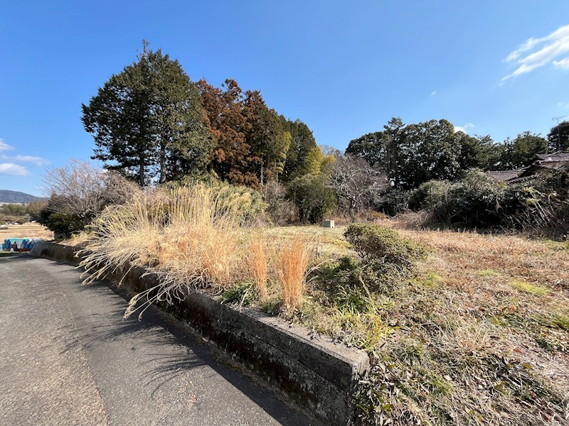 山野井 現地写真
