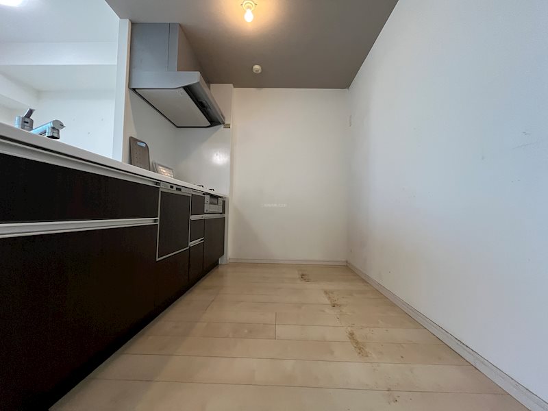 トラストネクサス新椋野 内観写真（キッチン）