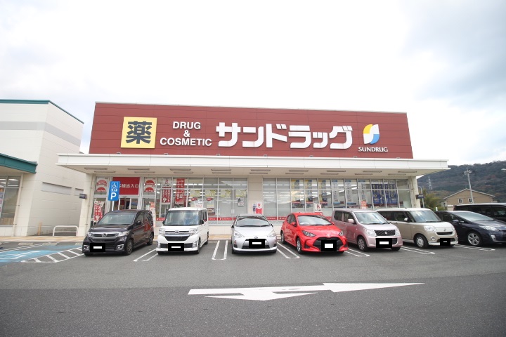 ラルウェンディ新椋野 ドラッグストア