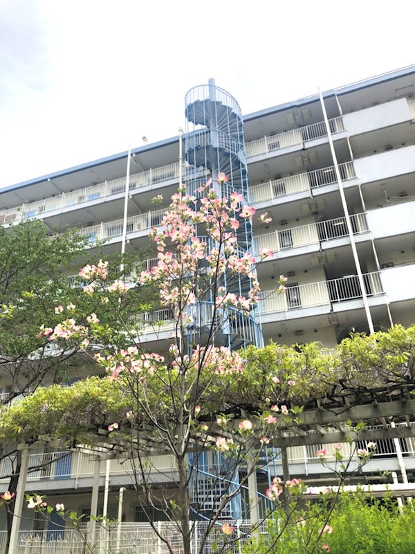 山科ハイツ【会員限定】 その他