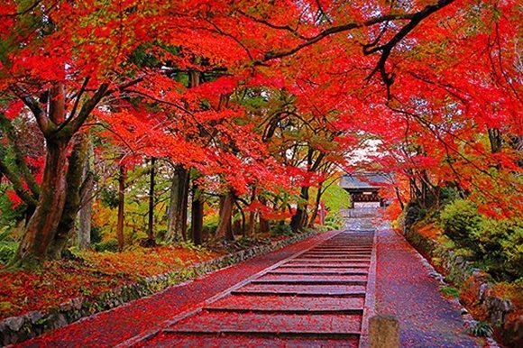 安朱奥ノ田 その他