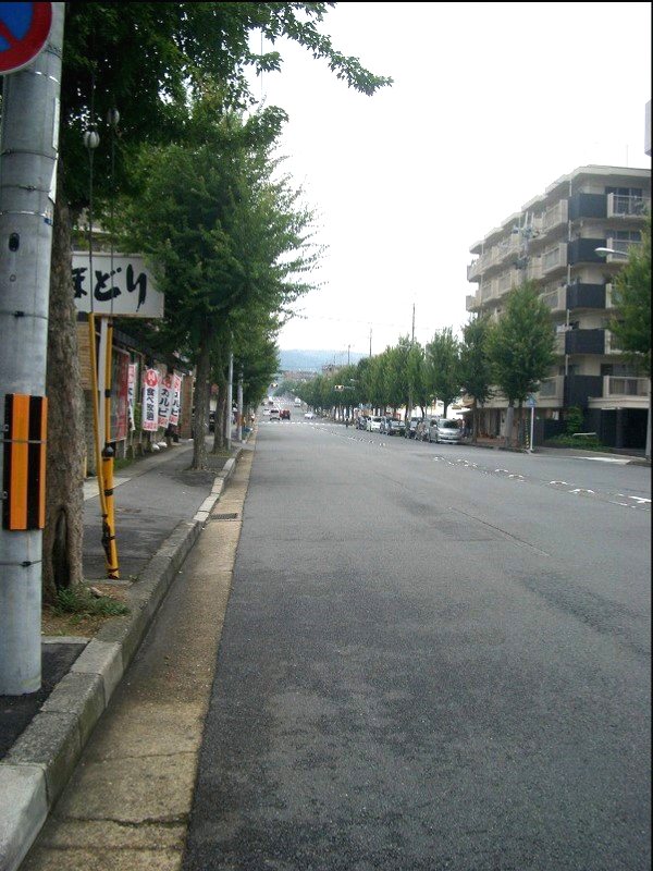 プレセランス山科【会員限定】 その他