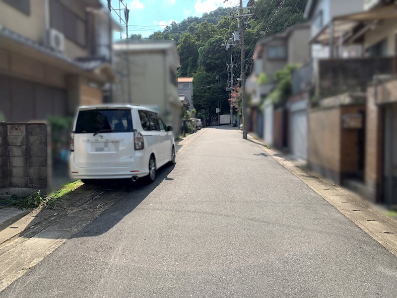 上花山桜谷 その他