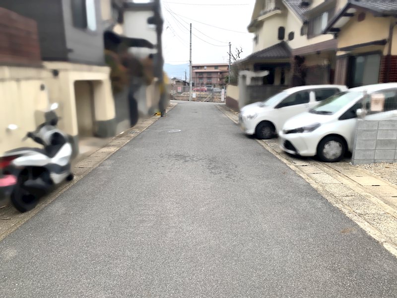 上花山桜谷 その他