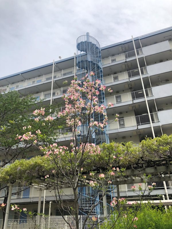 山科ハイツ【会員限定】 その他