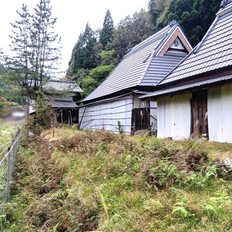 広河原尾花町 その他