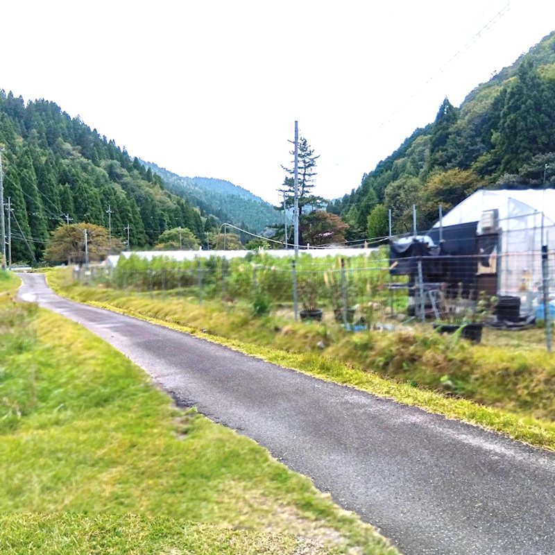 広河原尾花町 その他