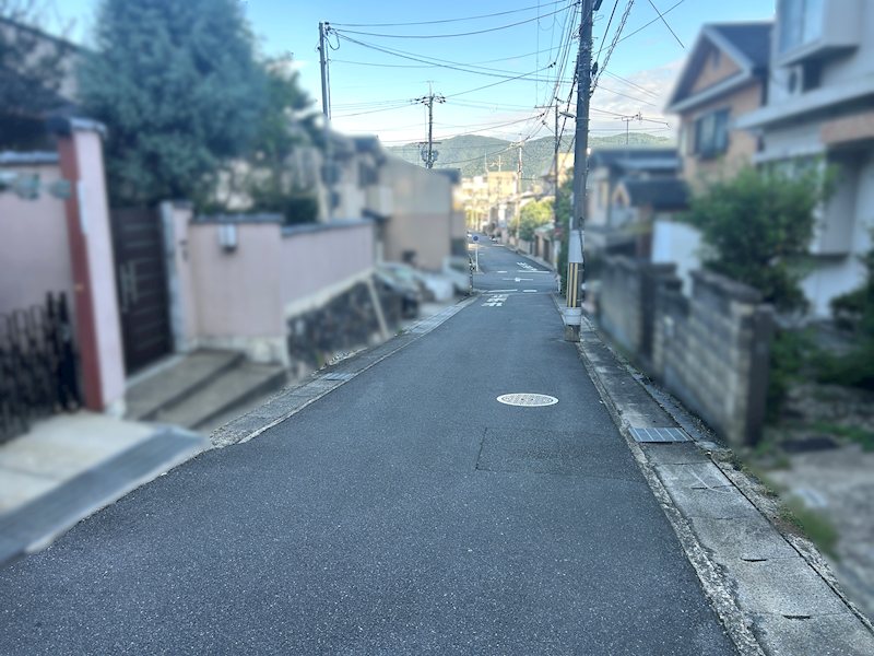 上花山桜谷 その他