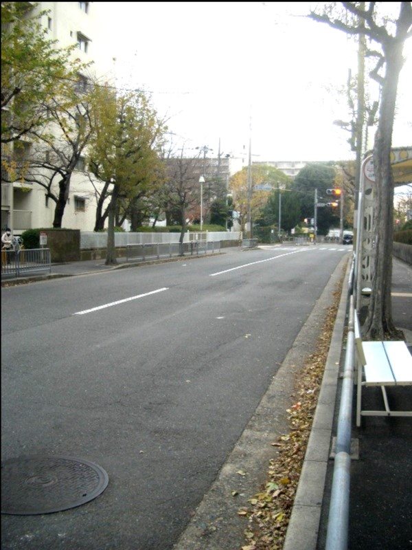山科団地C棟【会員限定】 その他