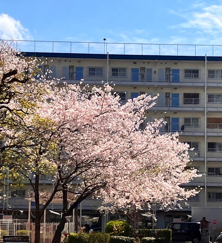 山科ハイツ その他