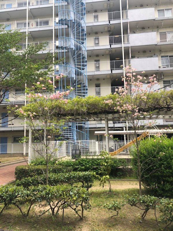 山科ハイツ その他