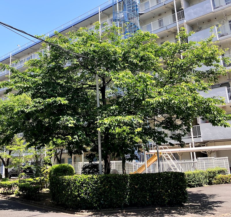 山科ハイツ その他