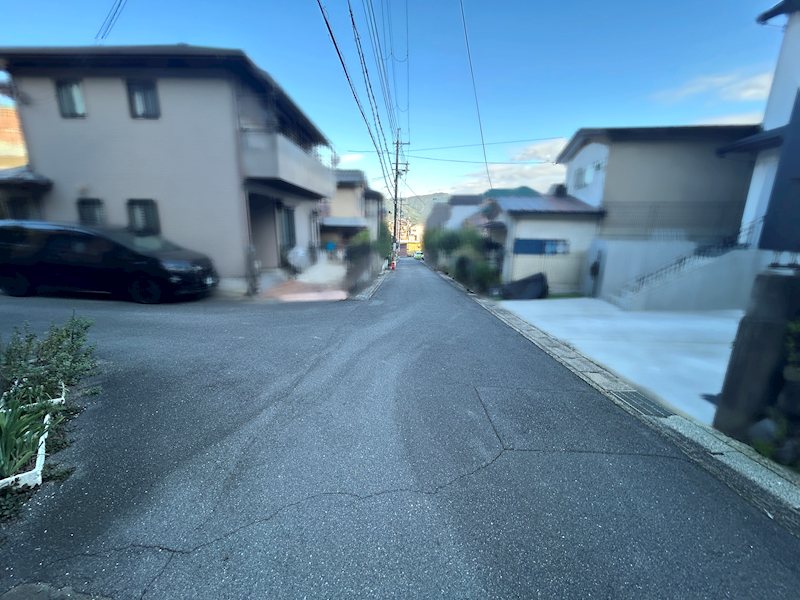 上花山桜谷 その他