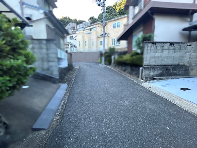 上花山桜谷 その他