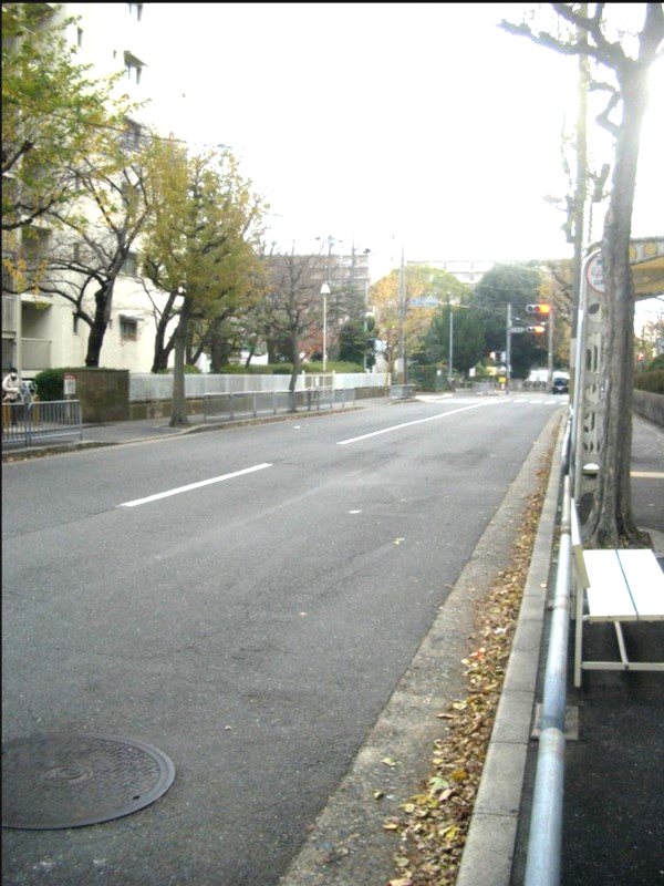 山科団地C棟【会員限定】 その他