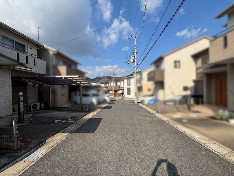 小山下ノ池【会員限定】 その他