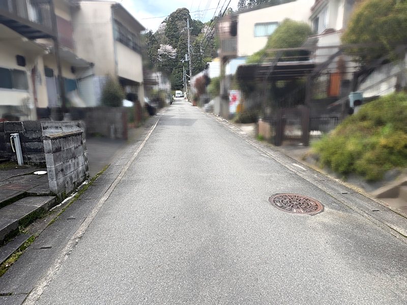 四ノ宮行者谷【会員限定】 その他