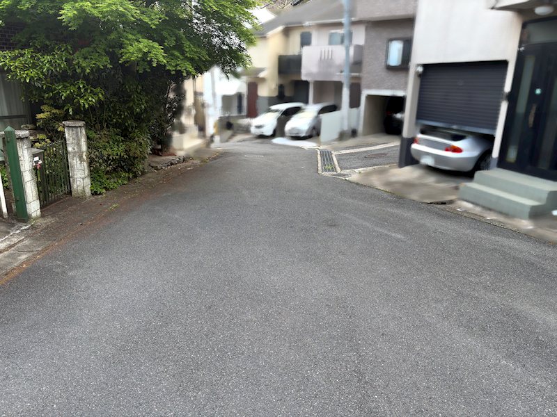 上花山桜谷 その他