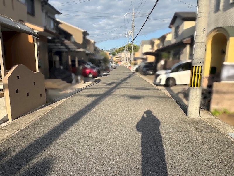 川田菱尾田【会員限定】 その他