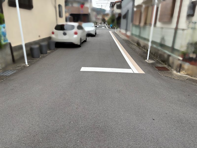 川田菱尾田【会員限定】 その他