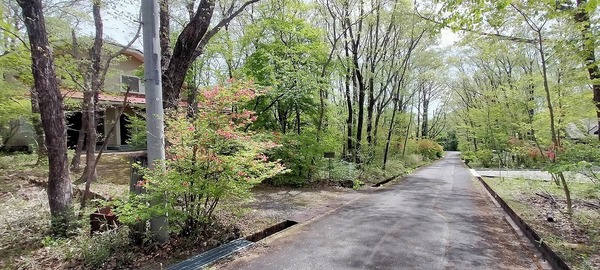 栃木県那須郡那須町高久丙 現地写真（前面道路含む現地写真）